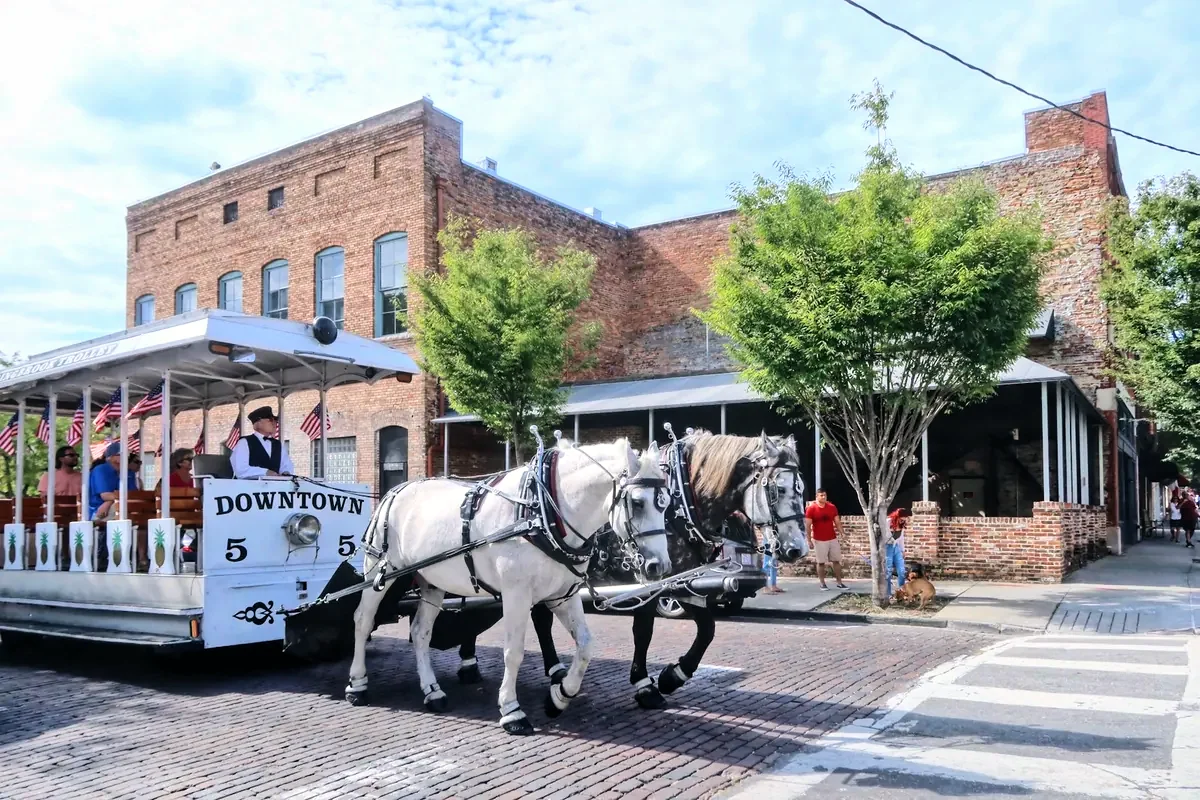 A horse-drawn carriage on a brick street in historic downtown Wilmington, NC